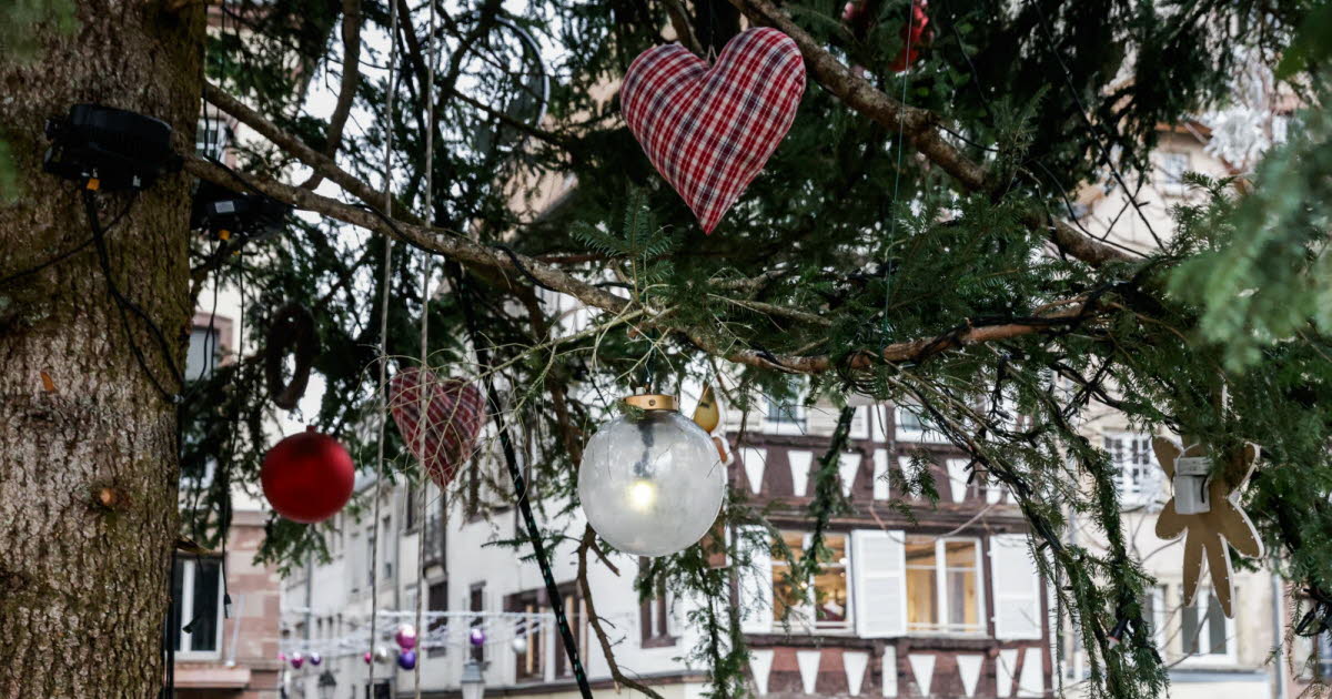 Strasbourg. Dans le grand sapin, une boule scintille en hommage à une cycliste décédée en 1996