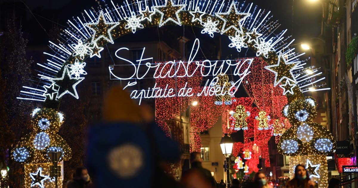 On fait quoi ce week-end. Illuminations de Noël, fête pour les chats errants... nos idées de sorties à Strasbourg