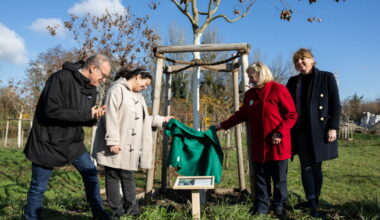 le temps des semailles dans le quartier Archipel 2, un arbre pour Jane Goodall