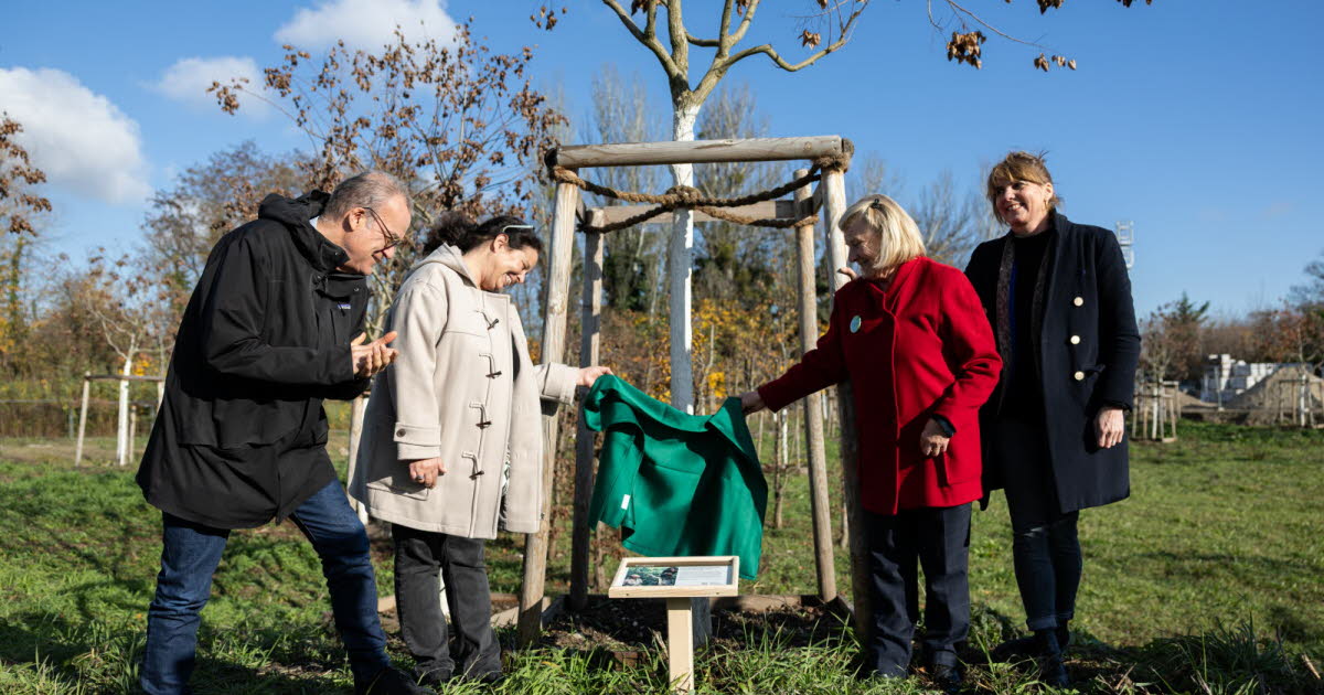 le temps des semailles dans le quartier Archipel 2, un arbre pour Jane Goodall