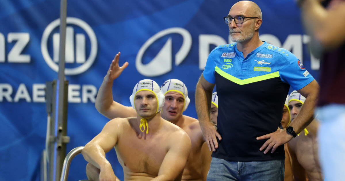 les bons comptes du Team Strasbourg