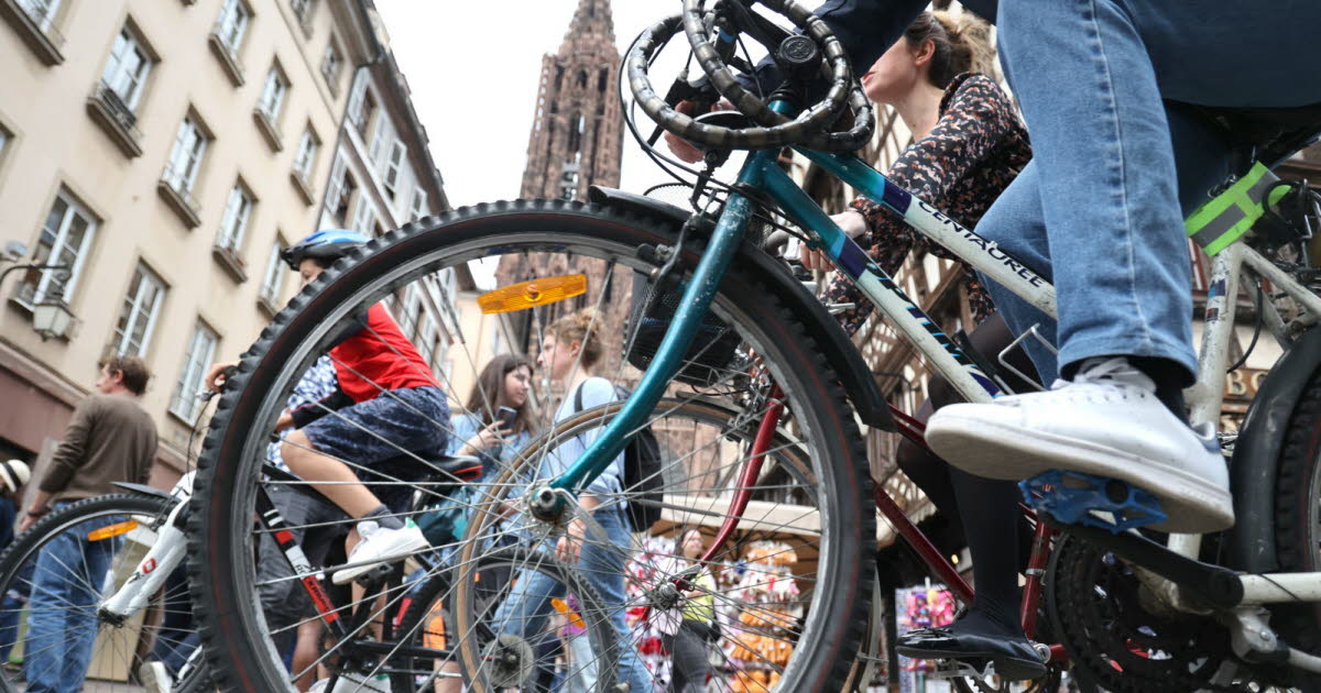 Strasbourg. Classement Copenhagenize des villes cyclables : le ville perd des places et s’enfonce dans le peloton