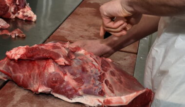 Firminy. Un boucher-charcutier recherché par la Ville ? « Huit professionnels, c’est déjà beaucoup ! »