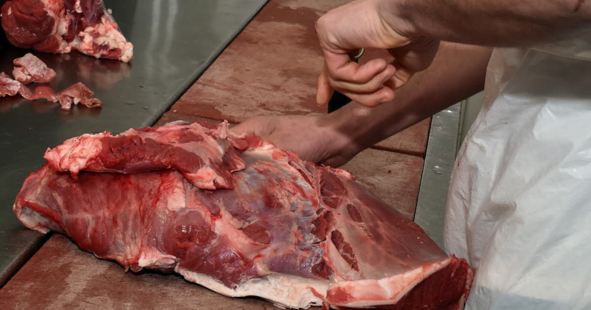 Firminy. Un boucher-charcutier recherché par la Ville ? « Huit professionnels, c’est déjà beaucoup ! »