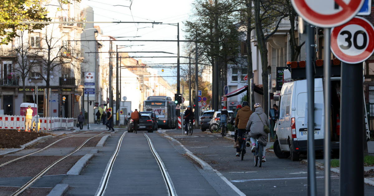 Strasbourg. Le tram F et les voitures se partagent la route, pour la première fois depuis 1960