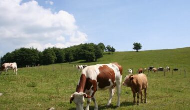 Grand Est. De l’aide pour transmettre son exploitation agricole