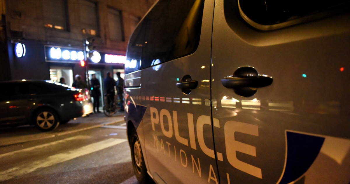 Métropole de Lyon. Une octogénaire traînée au sol par un voleur de sac : un suspect arrêté