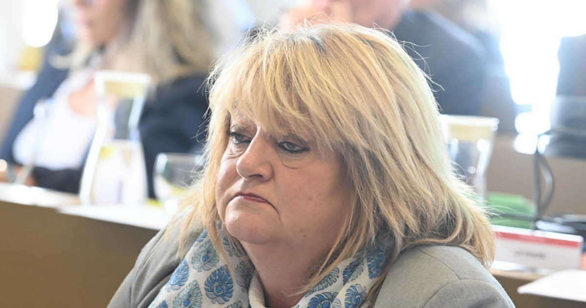 une adjointe pète un câble au conseil d’école de Jacquard