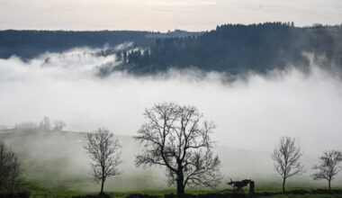 Hello Ketty. Les images décalées de la semaine dans l'objectif de notre photographe