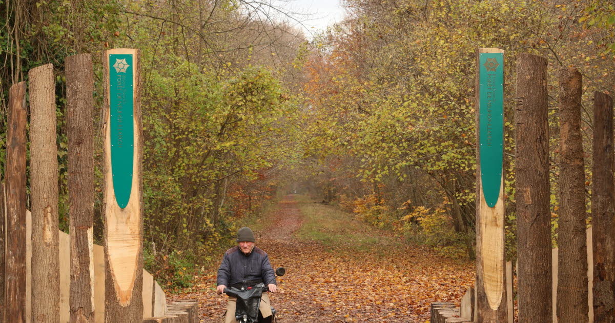 Illkirch-Neuhof. Pourquoi des totems sont installés pour marquer les entrées de la réserve naturelle
