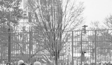 Culture. L’Université de Strasbourg accueille un festival de théâtre russe en exil