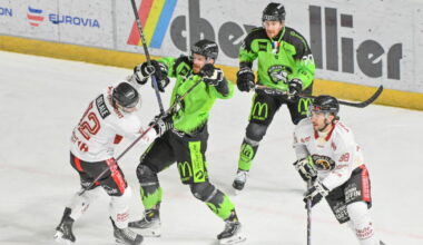 Grenoble, un sommet qui paraît inaccessible pour les Wildcats d’Epinal