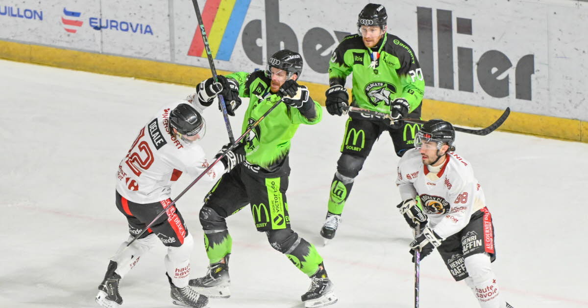 Grenoble, un sommet qui paraît inaccessible pour les Wildcats d’Epinal