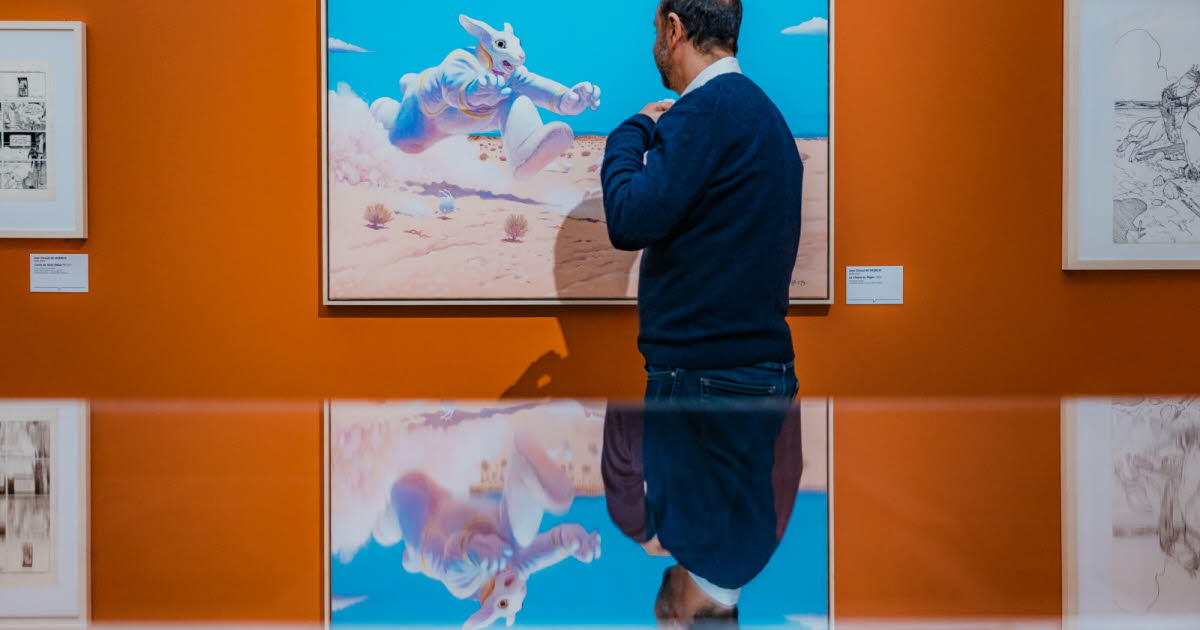 En images. BD, comics, mangas,... la pop culture à l'honneur au musée de Grenoble