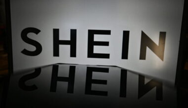 Décryptage. Shein suspendue trois mois en France ? Ce qu'il faut attendre de l'audience de ce mercredi