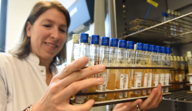 l’unité méconnue du CHU qui les analyse