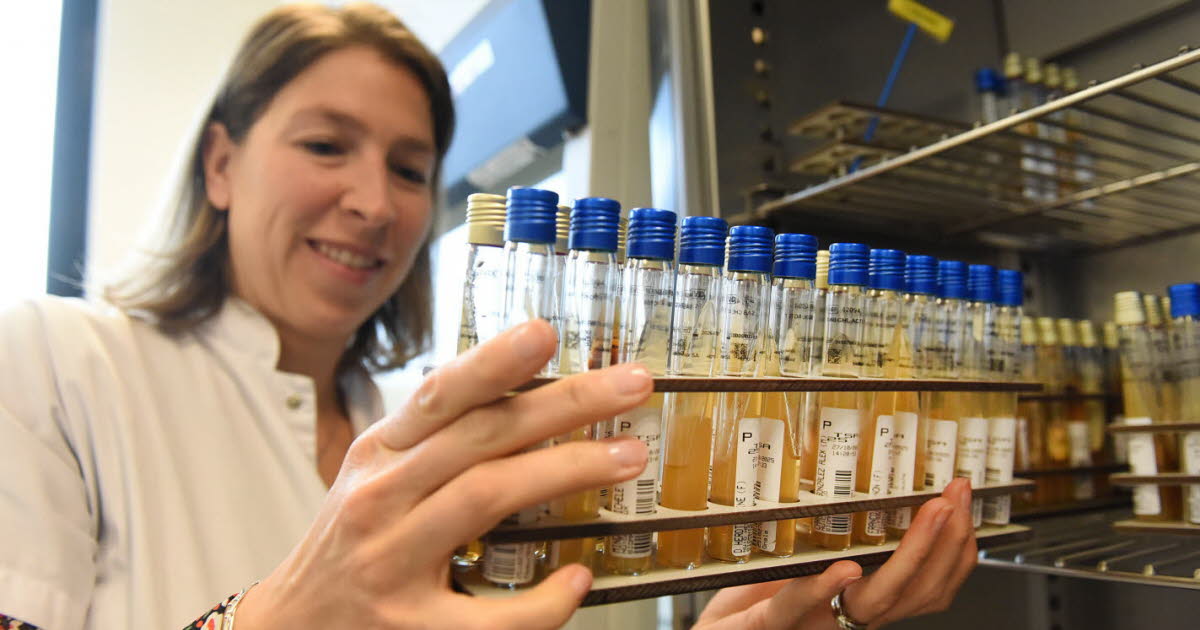 l’unité méconnue du CHU qui les analyse