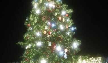 coup d'envoi ce mercredi 25 novembre à 14 h