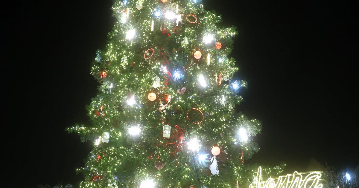 coup d'envoi ce mercredi 25 novembre à 14 h