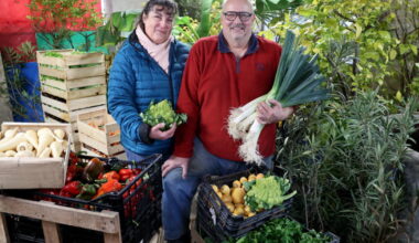 Strasbourg. Dernier maraîcher conventionnel à la Robertsau, la ferme Andrès baissera le rideau au 31 décembre