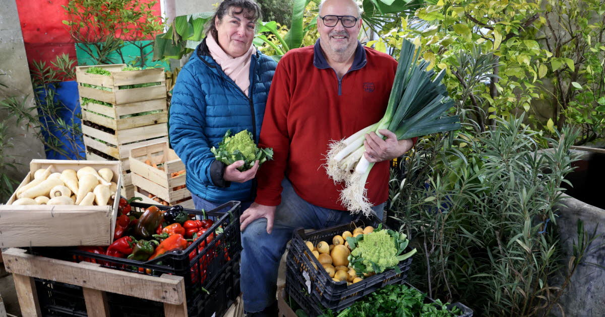 Strasbourg. Dernier maraîcher conventionnel à la Robertsau, la ferme Andrès baissera le rideau au 31 décembre