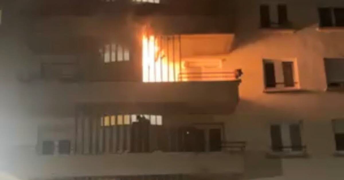 un chien sauvé par les pompiers, des voisins dénoncent ses conditions de vie