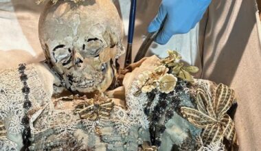 Paris. Le grand voyage au Musée de l'Homme de la jeune fille momifiée de Strasbourg