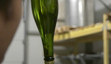 une famille condamnée à Lyon