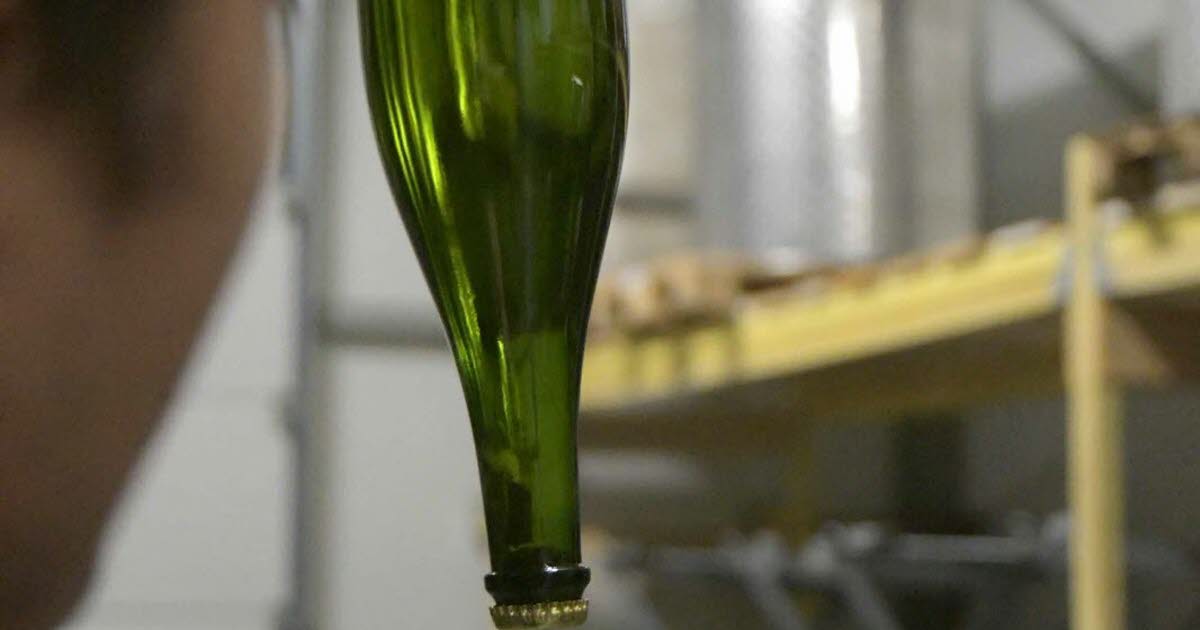 une famille condamnée à Lyon