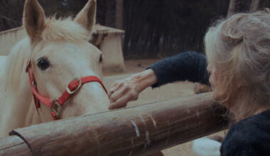 Dole. Le documentaire sur Brigitte Bardot projeté au Majestic Rive Gauche - Le Progrès