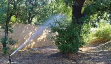 À Marseille, la ressource en eau et le tri sélectif mieux gérés