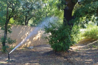 À Marseille, la ressource en eau et le tri sélectif mieux gérés