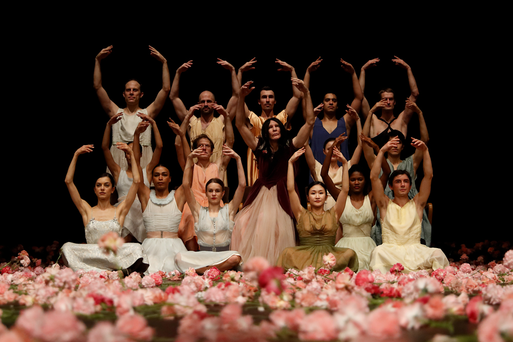 Ollioules : Nelken — Les Œillets de Pina Bausch