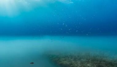 Plongée au cœur des profondeurs à Montpellier