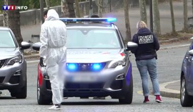 Casse du Louvre : que sait-on de la dernière salve d'interpellations ?