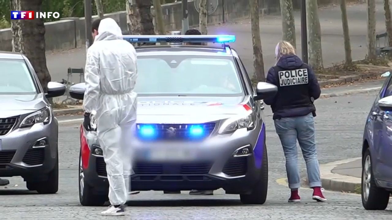 Casse du Louvre : que sait-on de la dernière salve d'interpellations ?