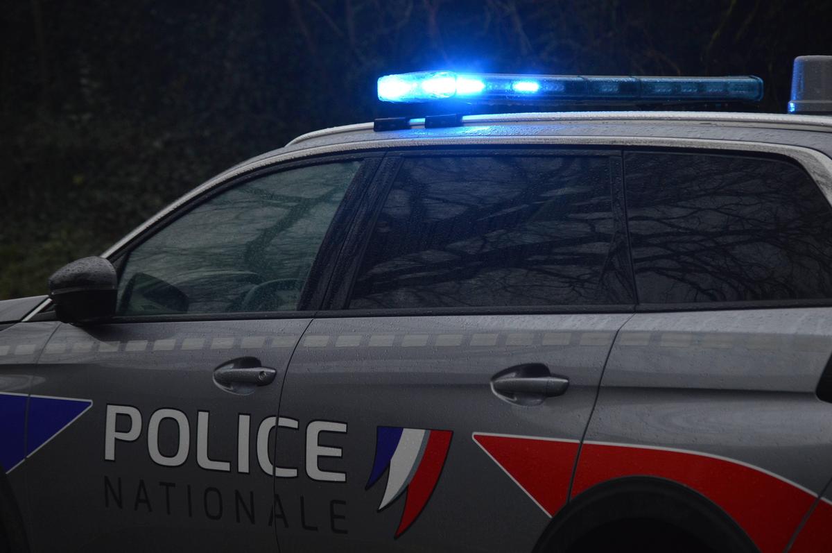 À Bordeaux, il fuit un contrôle de police et est interpellé dans un bois à Saint-Loubès
