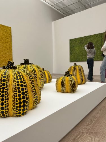 pumpkin kusama