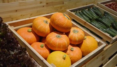 Saint-Etienne Métropole : 3ème édition du mois de l’économie sociale et solidaire