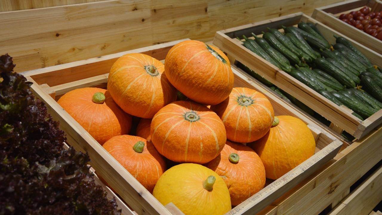 Saint-Etienne Métropole : 3ème édition du mois de l’économie sociale et solidaire