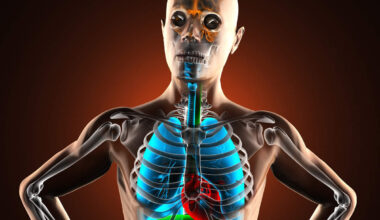 Radio-scan-pancréas (UnlimPhotos)