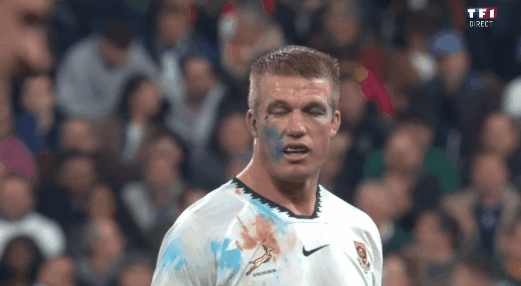 Le seul Rainbow Warrior que le France n'arrive pas à couler.