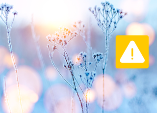 Retour du froid en France : est-ce que cette météo va perdurer dans le temps ?