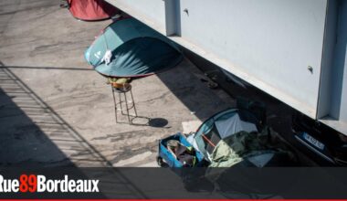 Hébergement d'urgence : la mairie de Bordeaux obtient la condamnation de l'Etat pour carence