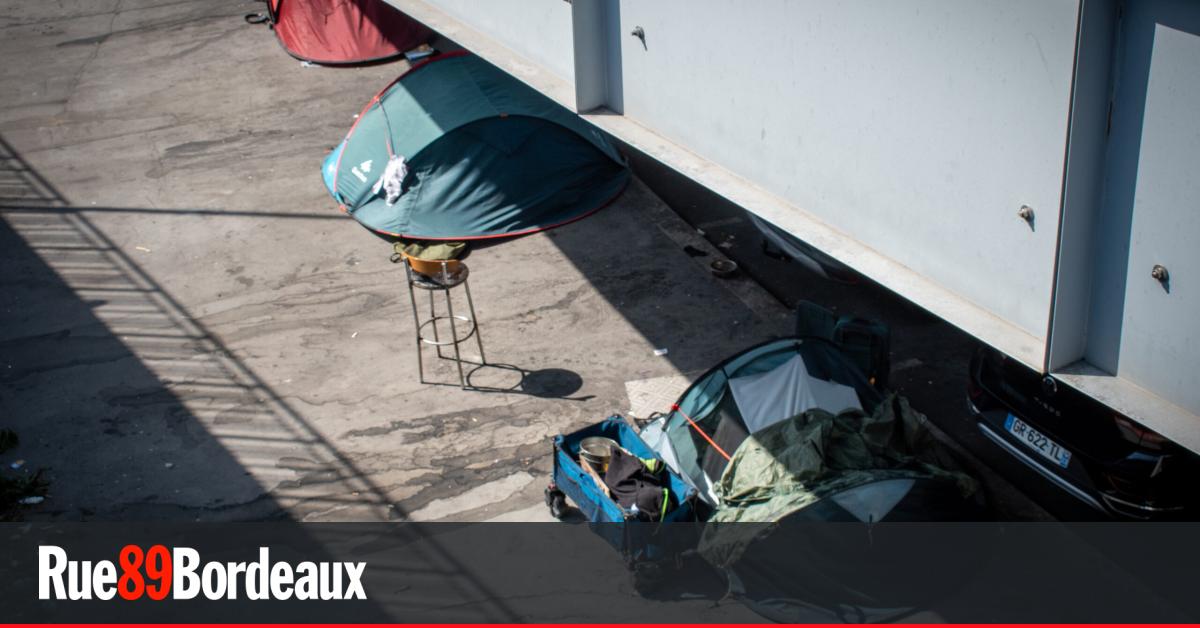 Hébergement d'urgence : la mairie de Bordeaux obtient la condamnation de l'Etat pour carence