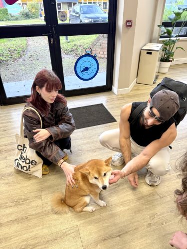 rush action game OKIMG_7117 2