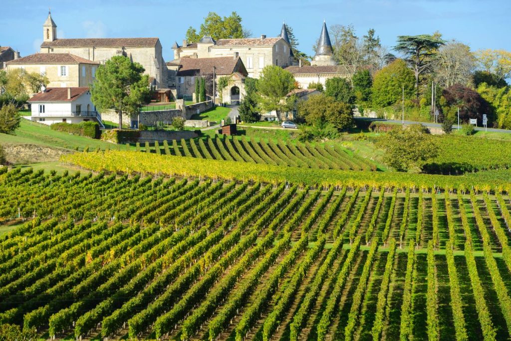 Un vignoble est situé devant un village avec des bâtiments historiques et une église, entouré d'une verdure luxuriante et d'arbres sous un ciel bleu clair.