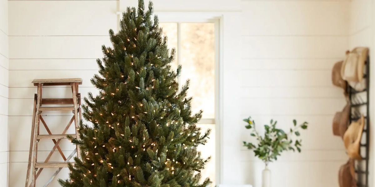 cette tendance des années 50 fait sensation