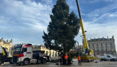 le grand sapin est arrivé place Stanislas