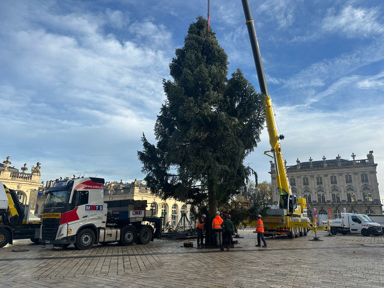 le grand sapin est arrivé place Stanislas